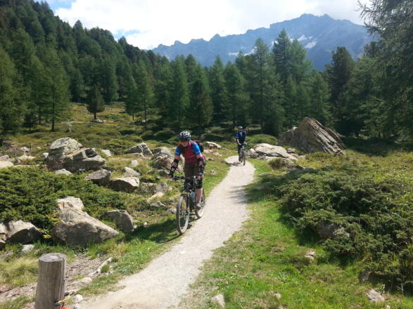 in der Schweiz sind die Wege bestens präpariert