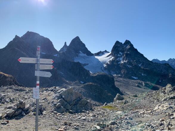 Großes Seehorn mit Seegletscher