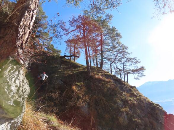 nach dieser Felsnase geht es weiter hinauf im lichten Wald