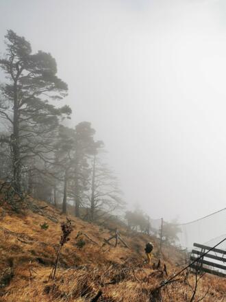 Kurz vor dem "Bödele"