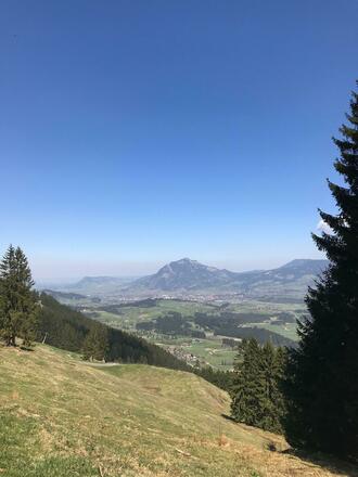 Ausblick auf den Grünten