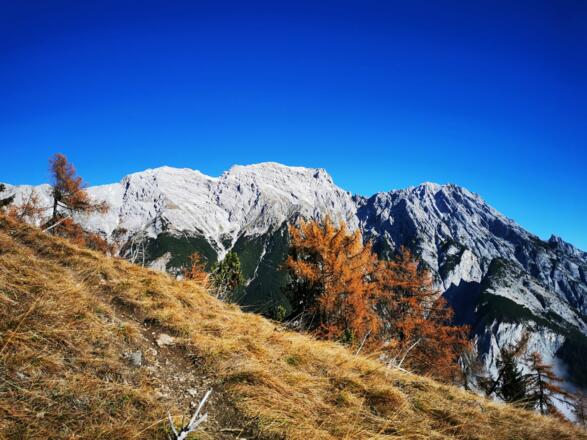 Blick zum Bettelwurf