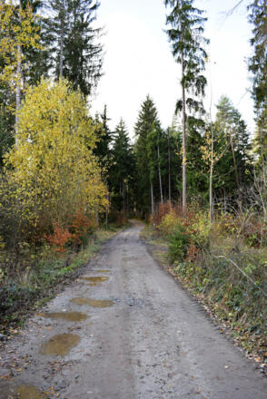 Weg in der Zelletau