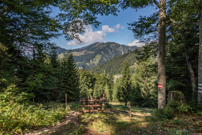 Hochalm Abstieg nach Unken