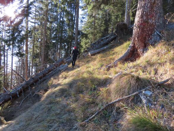 Durch ein Waldstück geht es nun zum Nisselboden