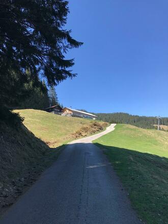 Sennalpe Ornach und Ochsenhauser Hütte