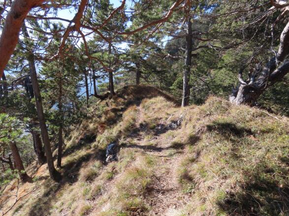 hier geht es retour zum Rundweg Goaßersteig