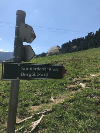 Wegweiser Richtung Sonderdorfer Kreuz und Bergblickweg