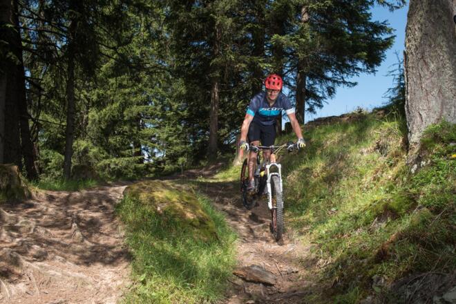 Holzalmtrail