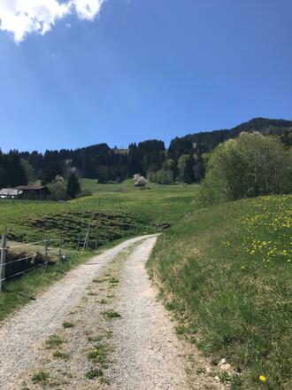 Die Wanderung beginnt in Sonderdorf
