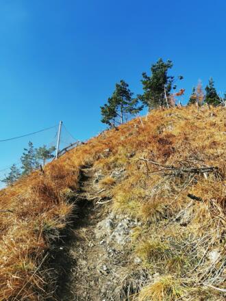 der Nebel lichtet sich....
