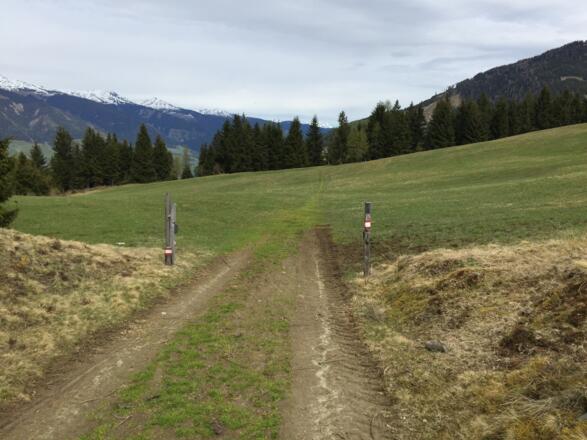 Weg Richtung Leitenheim