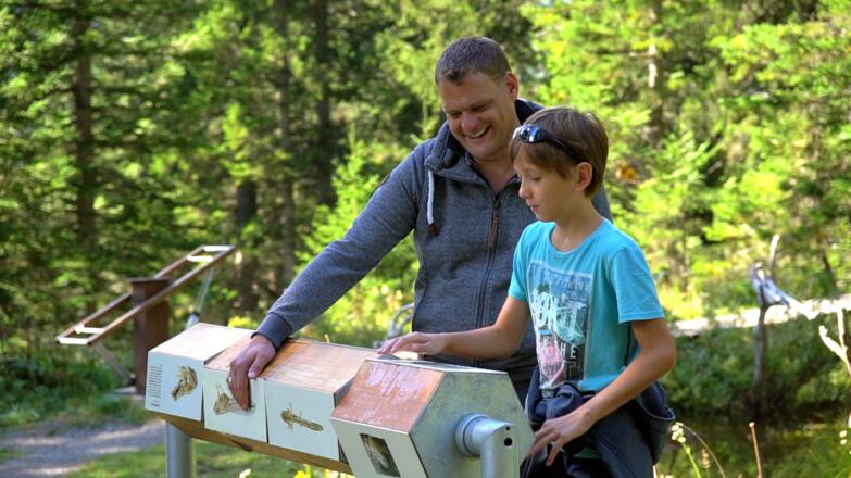Arlenzauberweg - Der Weg für Familien