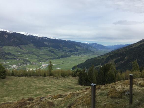 Blick Richtung Zell am See