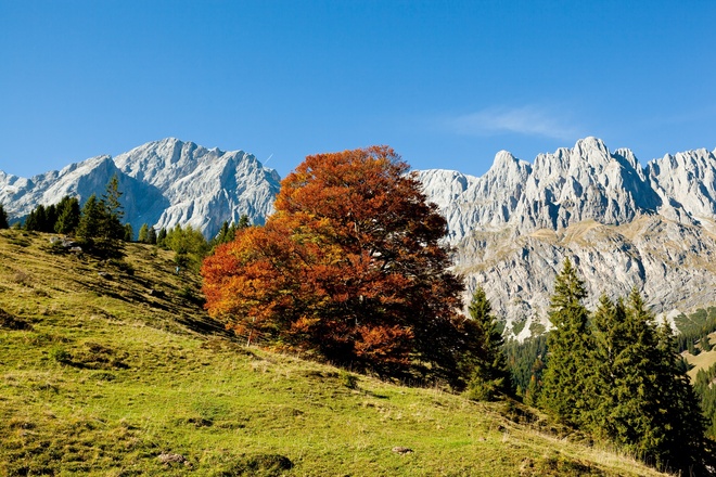 Wunderbare Natur