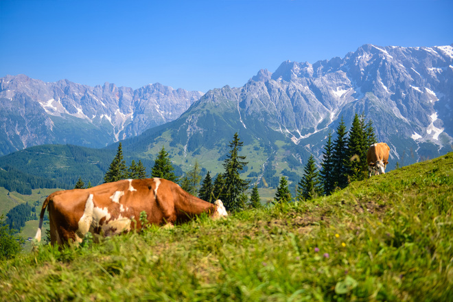 Hochkönig