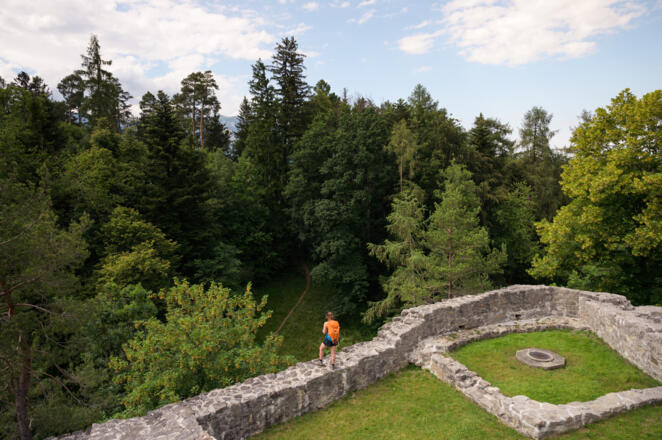 Burgruine in Schellenberg