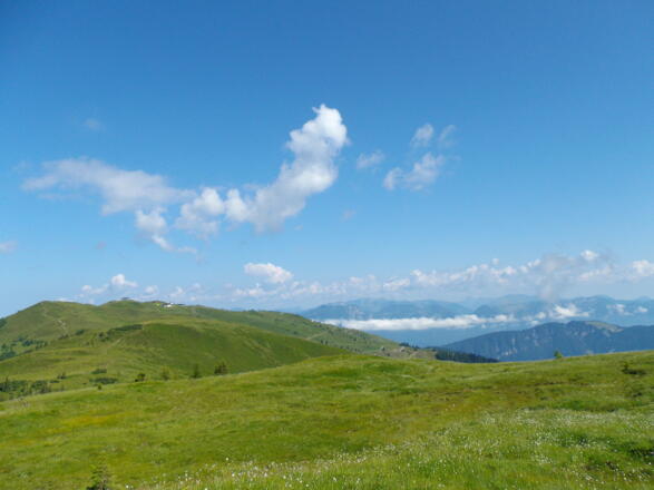 Gernalm Alpbach am Schatzberg