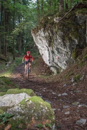 Uphilltrail 358 Holzknecht