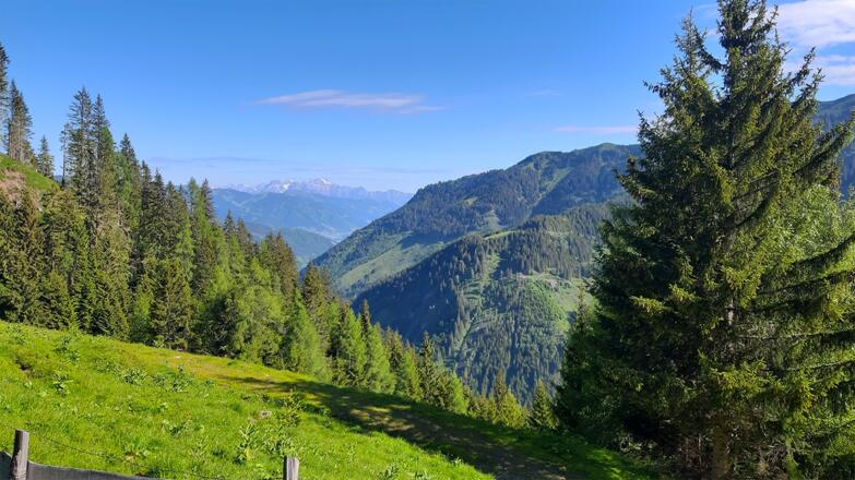 Ausblick auf den Zeller See