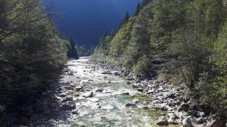 Ellbach