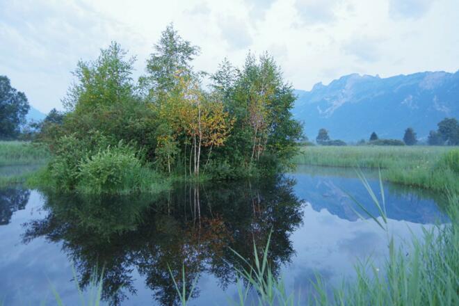 Im Naturschutzgebiet Ruggeller Riet