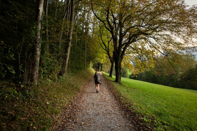 Wald kurz vor Schloss Vaduz