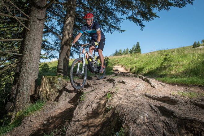 Sharedtrail Holzalm Alpbach Brixlegg Down.jpg