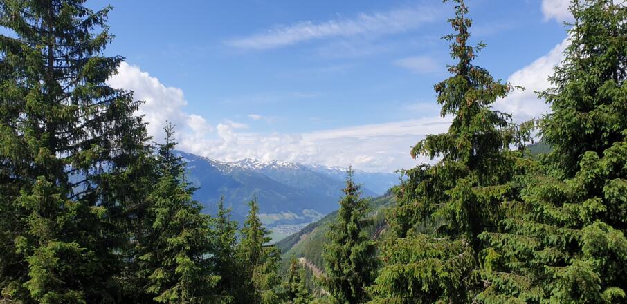 Genieße die Ausblicke auf dem Weg zur Hochsonnbergalm Uttendorf