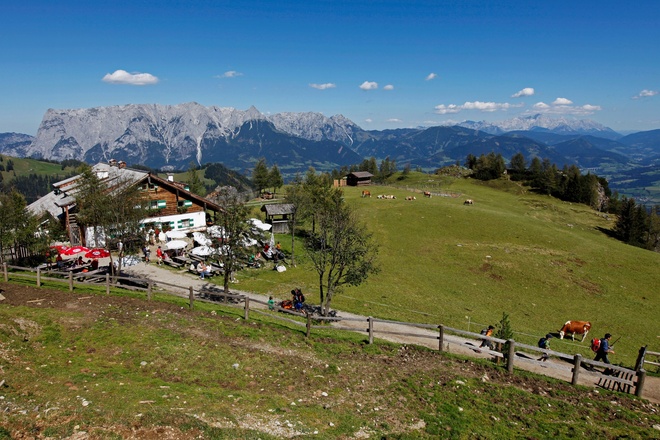 Mitterfeldalm