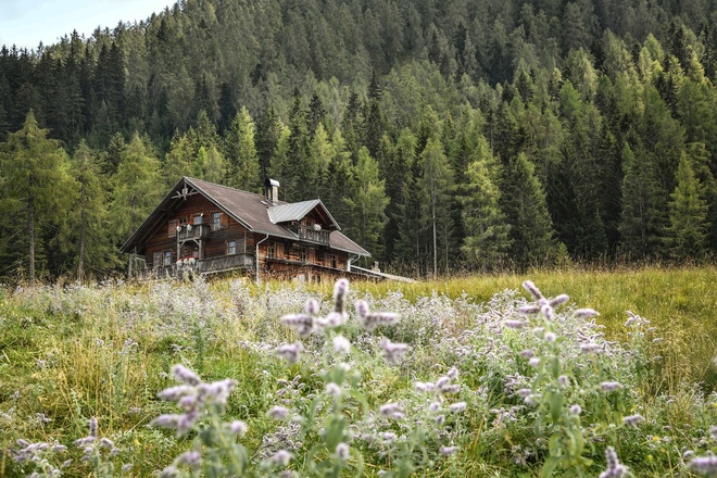 Almgelände Holzalm