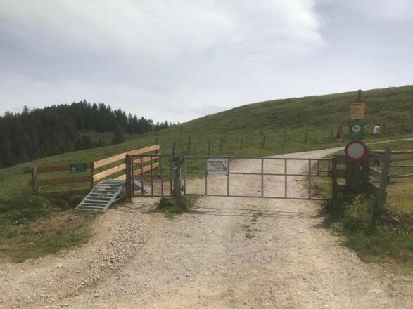 Bikebrücke Holzalm