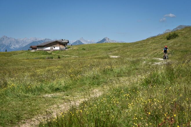 Sharedtrail Holzalm Alpbach Brixlegg.jpg
