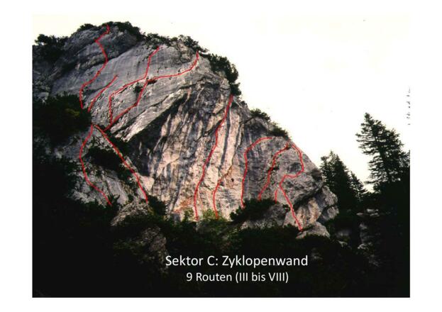 Sektor C
