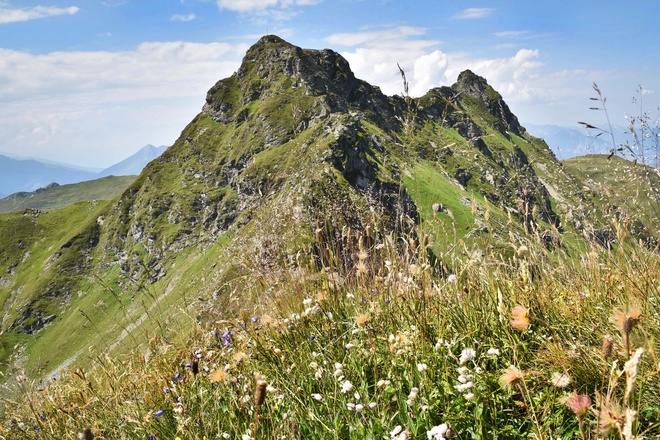 Sagtaler Spitzen Panorama Wiesenblumen