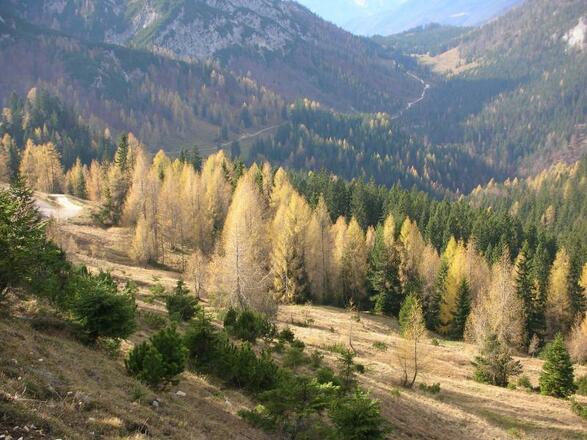 Herbststimmung