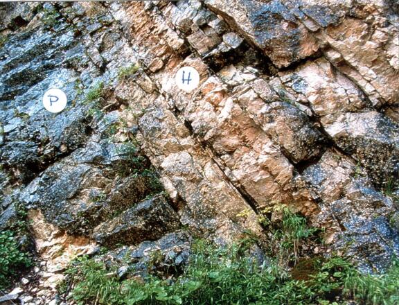 Übergang vom Hauptdolomit (H) zum Plattenkalk (P)