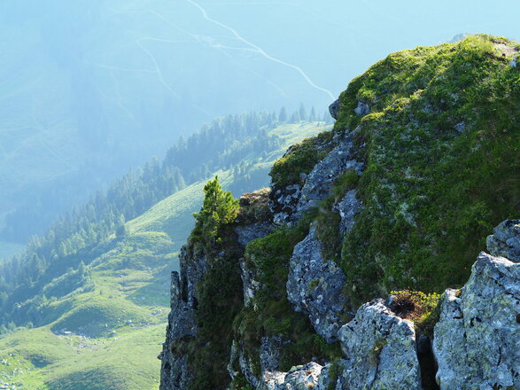 Sagtaler Spitzen Wanderung Alpbach