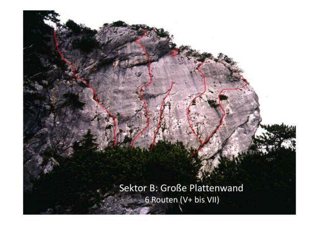 Sektor B