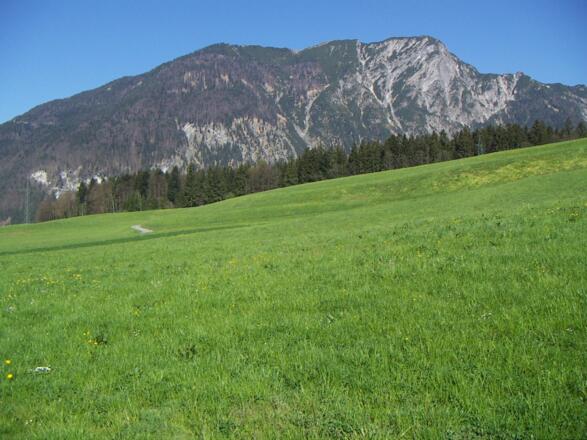 Weg zum Grattauwald, Blick zum Plessenberg