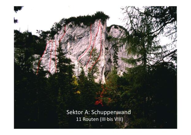 Sektor A