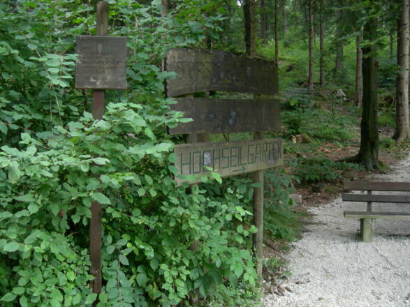 Beginn_Forstmeile_Hochseilgarten