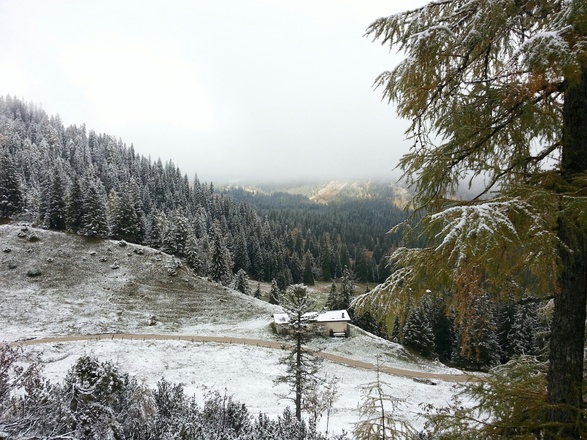 Blick zurück