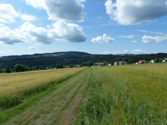 Blick auf Lippertsgrün und den Döbraberg