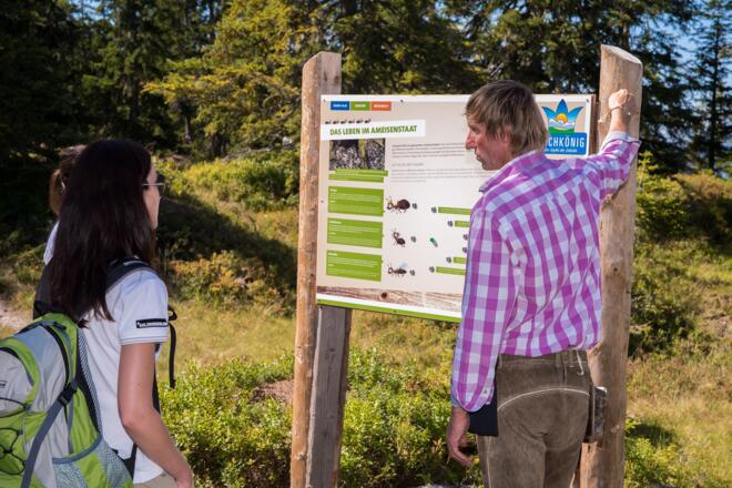 Interaktiv Tafel Ameisenweg