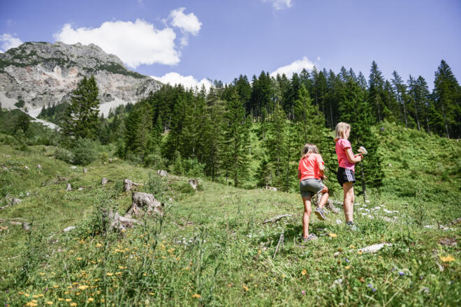 Wandern
