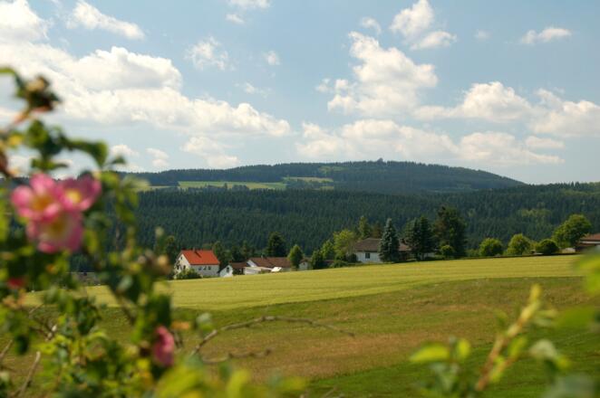 Blick über Lippertsgrün zum Döbraberg