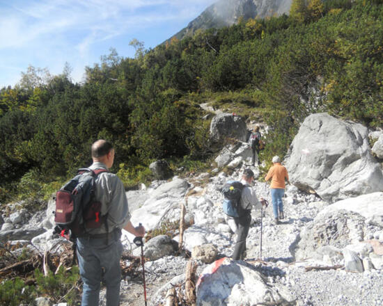 Wanderweg  durch die Latschen