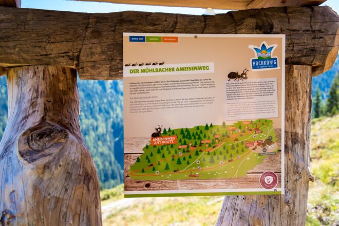 Ameisenweg Tafel