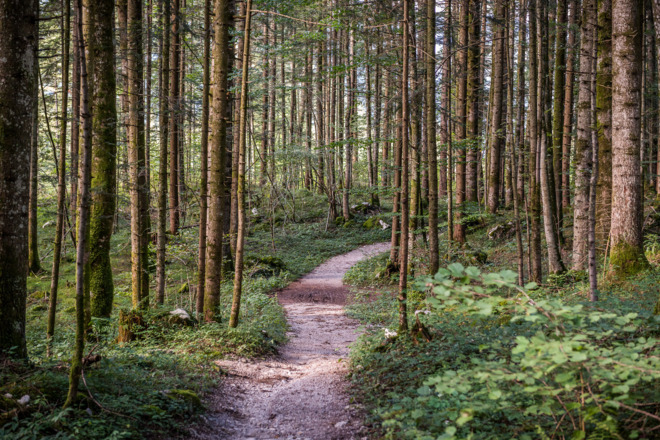 Von Au über den Bairauerweg nach Lofer